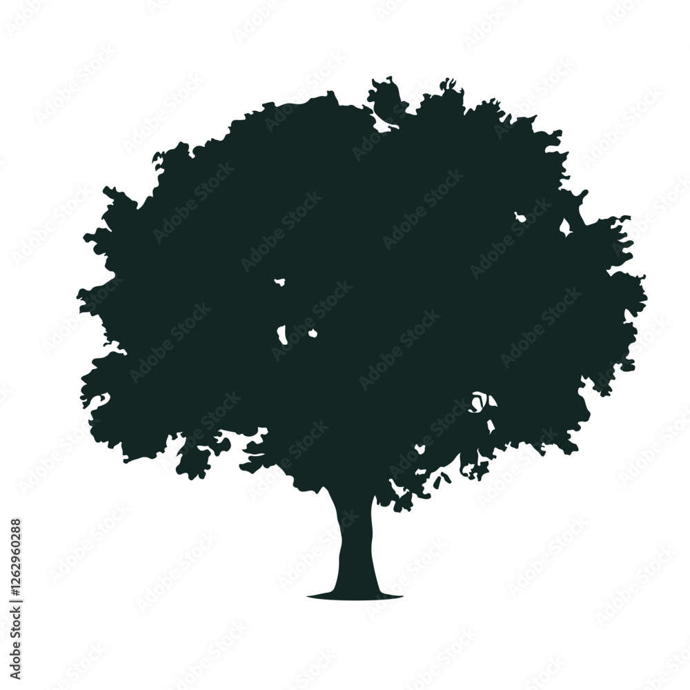 Fototapeta premium Tree Silhouette