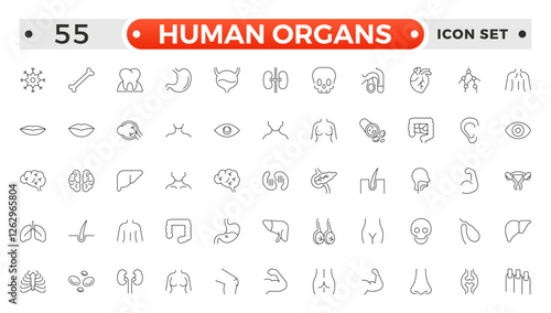 Human Organs outline icon, Organs, anatomy flat line icons set. Human bones, stomach, brain, heart, bladder, nervous system vector illustrations. Outline pictograms for medical clinic.