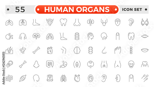 Human Organs outline icon, Organs, anatomy flat line icons set. Human bones, stomach, brain, heart, bladder, nervous system vector illustrations. Outline pictograms for medical clinic.