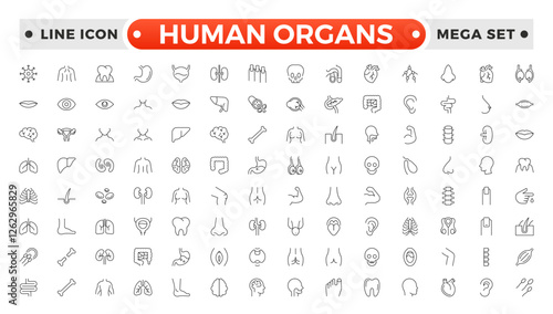 Human Organs outline icon, Organs, anatomy flat line icons set. Human bones, stomach, brain, heart, bladder, nervous system vector illustrations. Outline pictograms for medical clinic.