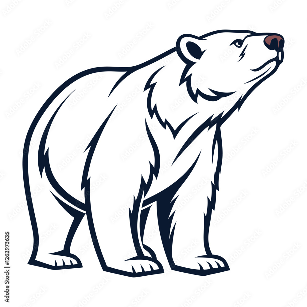 Fototapeta premium polar bear vector illustration