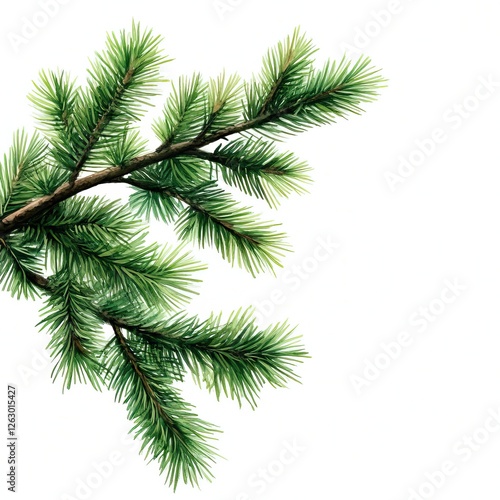 Pine branch close-up nature scene botanical forest environment detailed view greenery concept photo