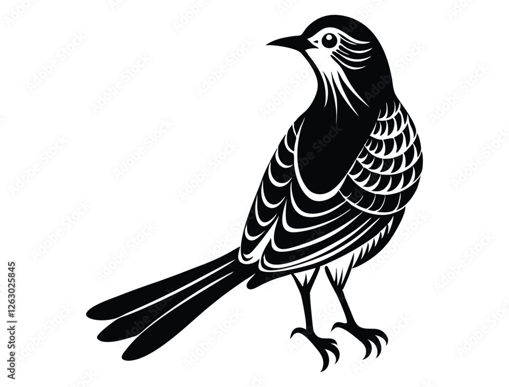 Fototapeta premium mockingbird silhouette vector illustration and white background