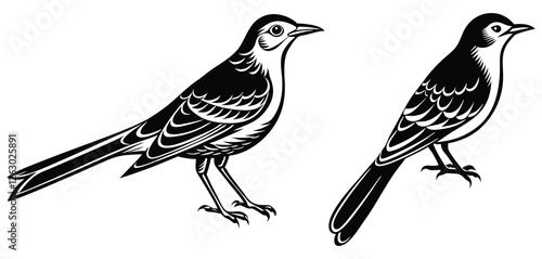Mockingbird set jump vector silhouette color and white background