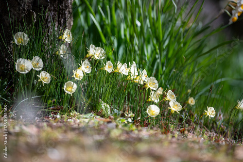 熱海梅園 2025年2月