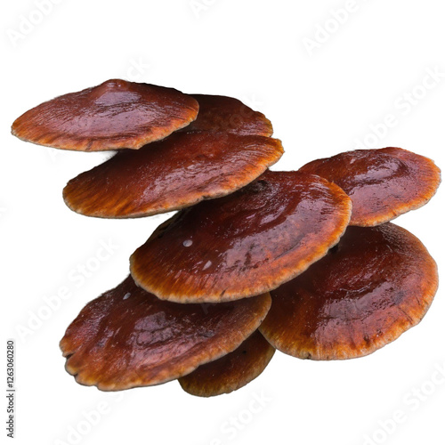 Vibrant Brown Mushrooms Stacked Together on a White Background for Culinary or Dietary Use with Clipping Path