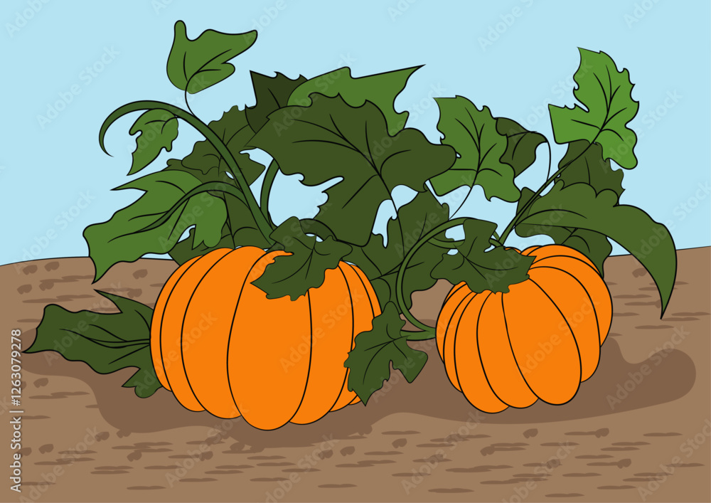Obraz premium Pumpkin plant vector illustration. 