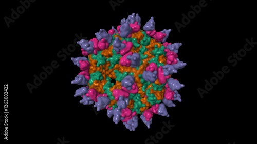 Human parechovirus (green and brown) neutralization by human monoclonal antibodies (pink and violet). Animated 3D molecular surface model, entity id color scheme, pdb 4udf, black background photo