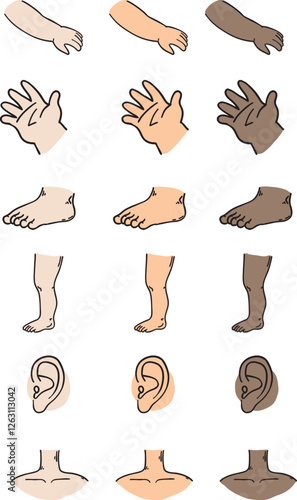 Human Body Parts Diversity Activity - Learning About Different Skin Tones and Anatomy