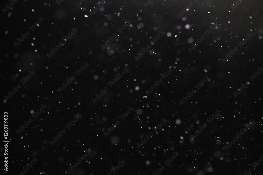 Obraz premium Abstract texture. Falling snow isolated on black background. Layer to overlay and blend snowfall into your photo project. 