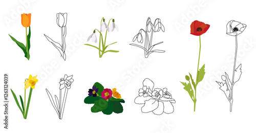 spring flowers