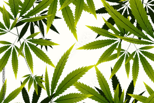 copy-space-botanical-cannabis-background8