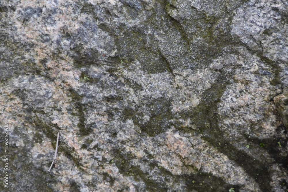 This is the gray surface of the rock in nature. This is the gray surface of the rock in nature.
