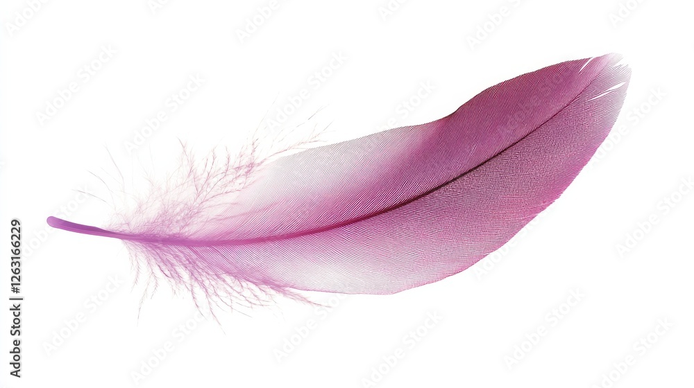 Soft Pink Feather Texture with Gentle Highlights Soft Pink Feather Texture with Gentle Highlights