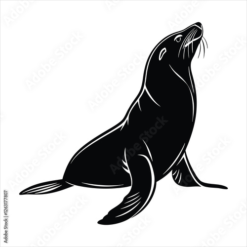 sea lion vector illustration