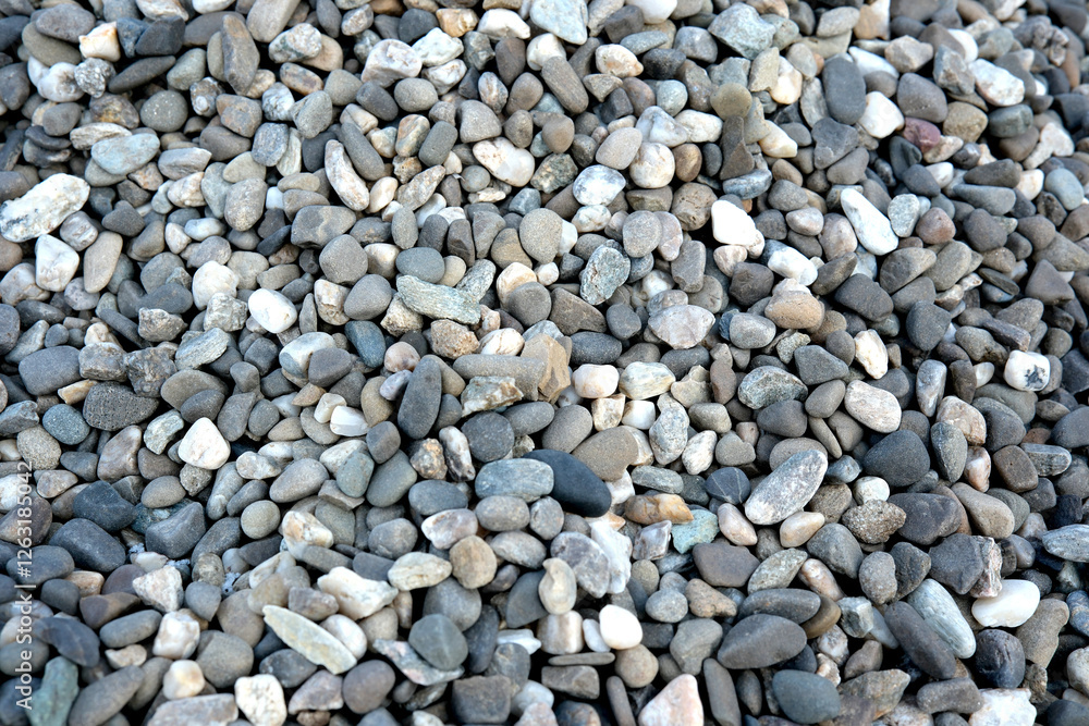 Varied pebbles create a natural mosaic in a tranquil setting Varied pebbles create a natural mosaic in a tranquil setting
