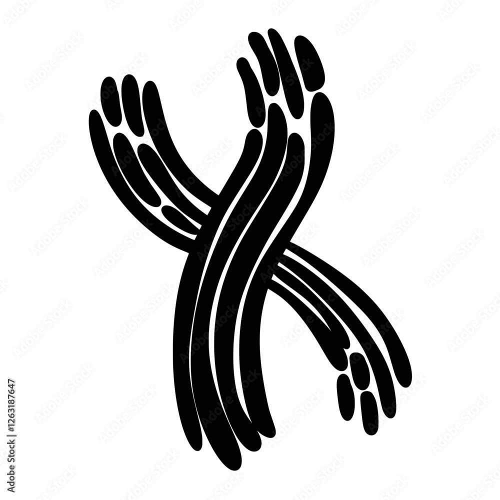 Chromosome Chromosome