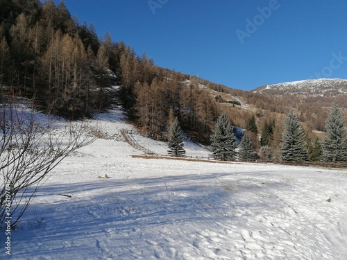 paesaggio innevato