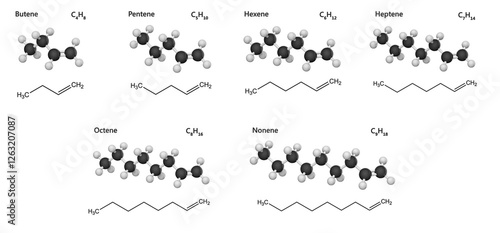 Alkene Series: From Butene (C4H8) to Nonene (C9H18). Class of hydrocarbons characterized by the presence of at least one carbon-carbon double bond. Isolated on white background. 3D illustration. photo