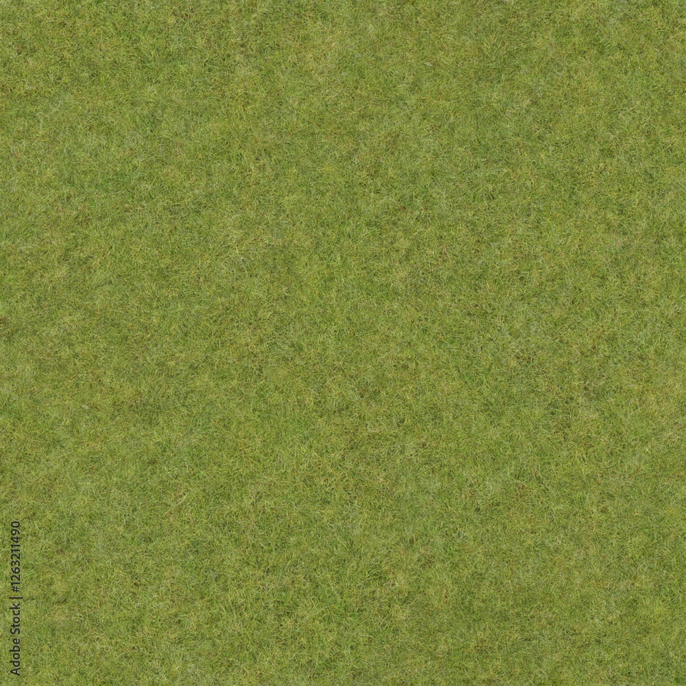 Fototapeta premium Grass