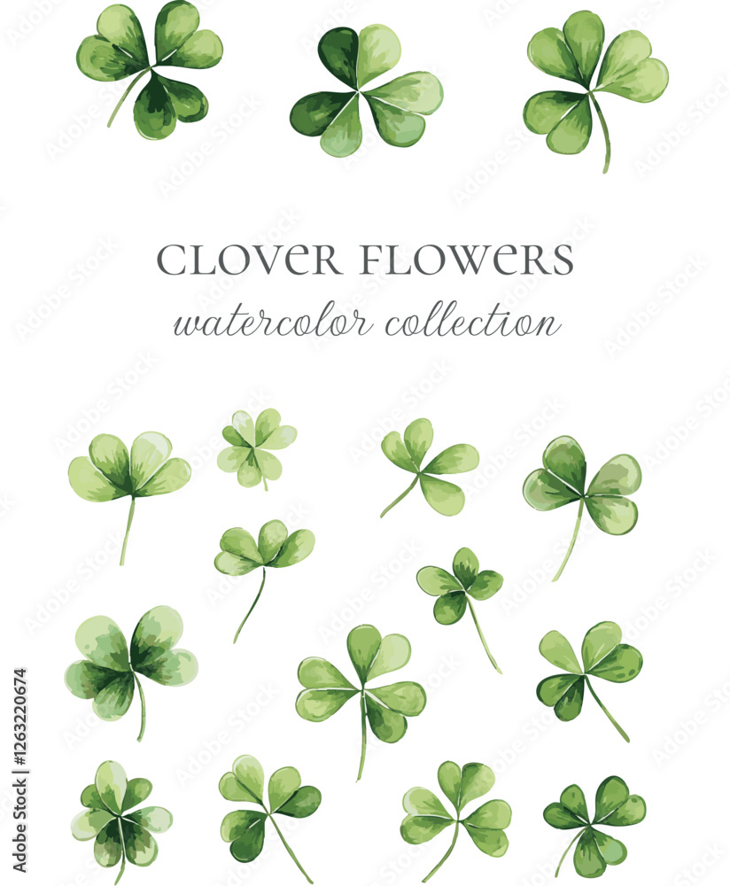 clover flower plant watercolor collection for cards and designs