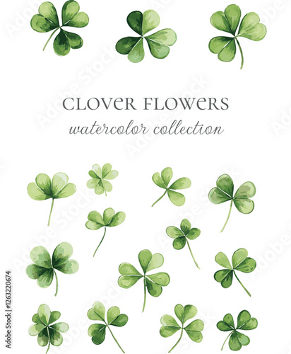 clover flower plant watercolor collection for cards and designs