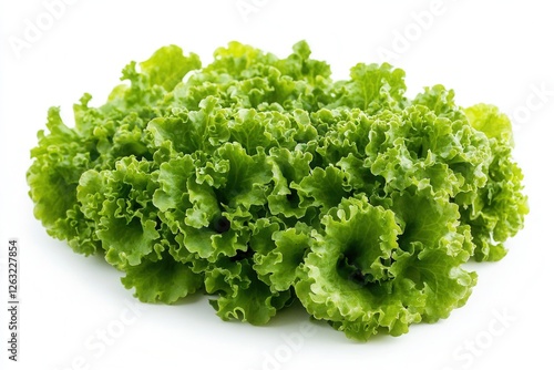 A bunch of fresh green curly lettuce on a white background. A natural organic product, rich in vitamins, perfect for salads, healthy eating, and cooking.