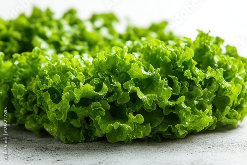 A bunch of fresh green curly lettuce on a white background. A natural organic product, rich in vitamins, perfect for salads, healthy eating, and cooking.