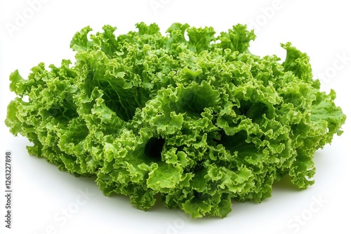 A bunch of fresh green curly lettuce on a white background. A natural organic product, rich in vitamins, perfect for salads, healthy eating, and cooking.