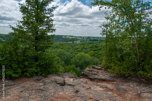 Looking through the trees from the top of the Niagara Escarpment. A view of forest and farm fields along the Bruce Trail during the summer
