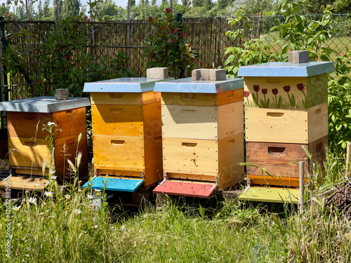 Colorful wooden beehives in a lush green garden, surrounded by wildflowers and trees, under a partly cloudy sky during sunset.