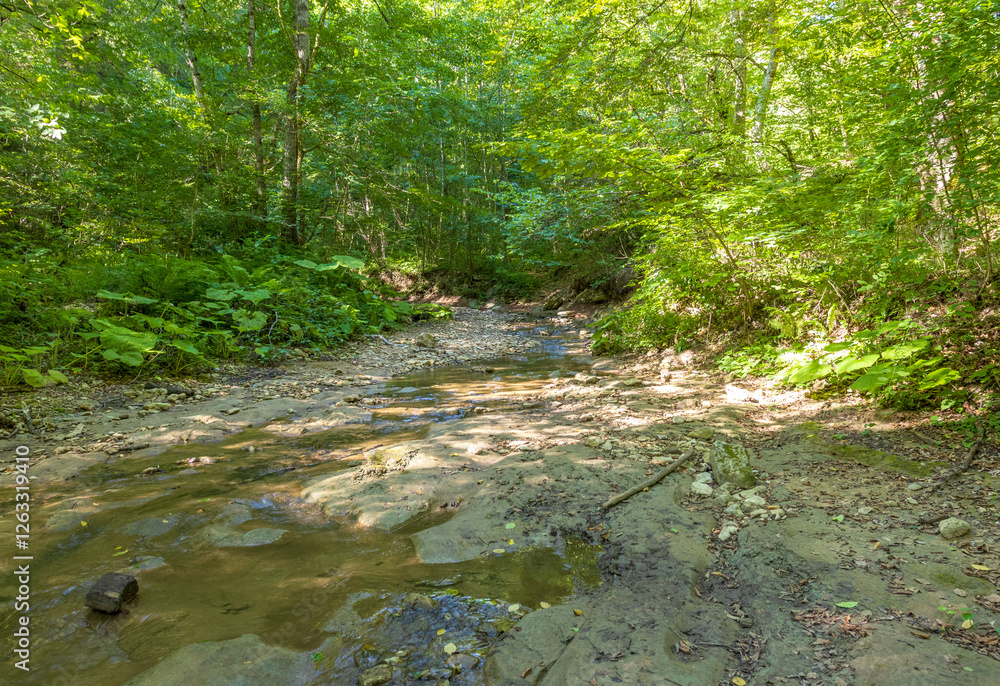 Obraz premium A shallow riverbed with an exposed rocky bottom, a small flow of water, in the summer