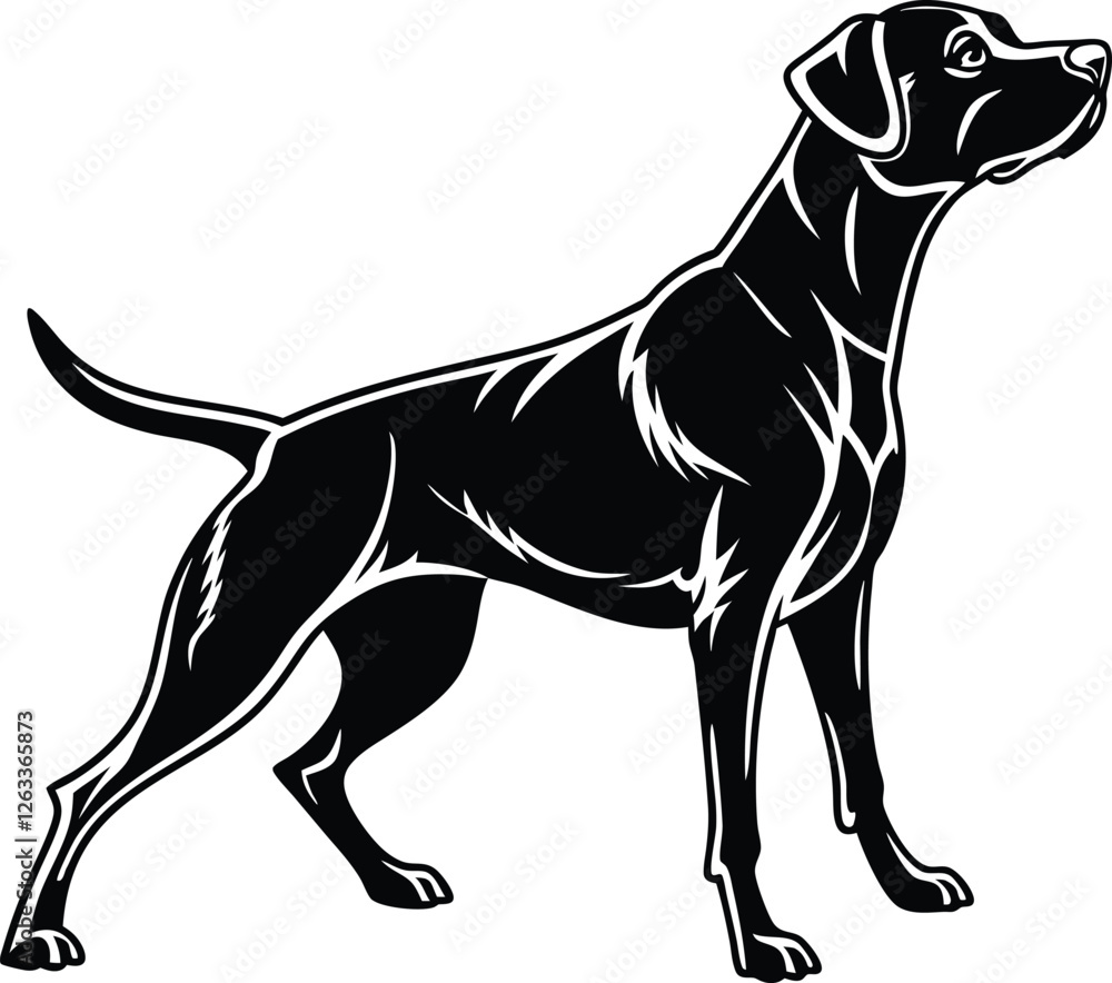 Obraz premium Standing Dog silhouette, Dog vector, Dog standing icon