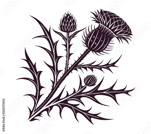 Scottish thistle plant illustration in a bold woodcut style, featuring three distinct flower heads and spiky leaves, rendered in a dark purple and white monochrome palette