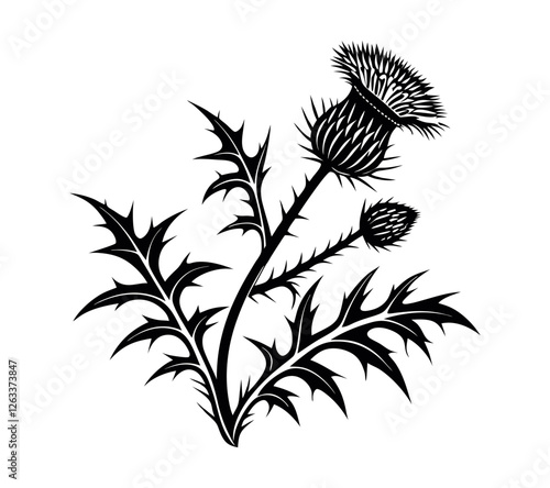 Stylized black and white vector illustration of a Scottish thistle plant with two flower heads and thorny leaves, depicted in a woodcut or linocut artistic style