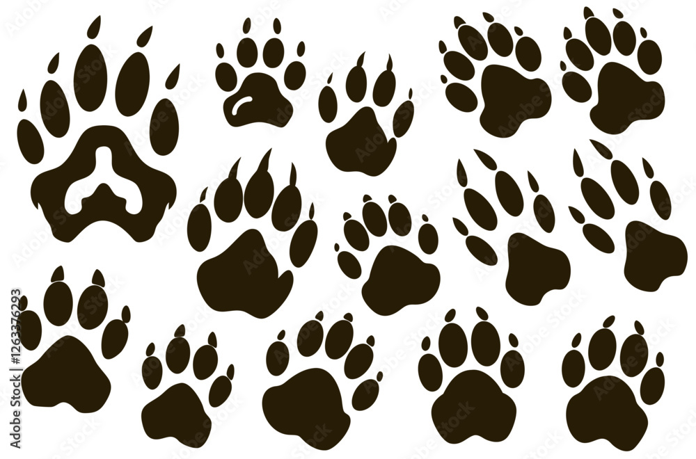 Fototapeta premium Several bear paw prints are displayed on a white background, showing claws, traces, and steps, creating a pattern that evokes wildlife and the presence of a large animal