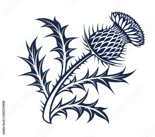 Scottish thistle vector Line art in Celtic style flower illustration