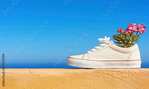 Creative Concept of White Sneaker with Colorful Flowers against Blue Sky Background on a Wall Creating a Unique Nature and Fashion Fusion
