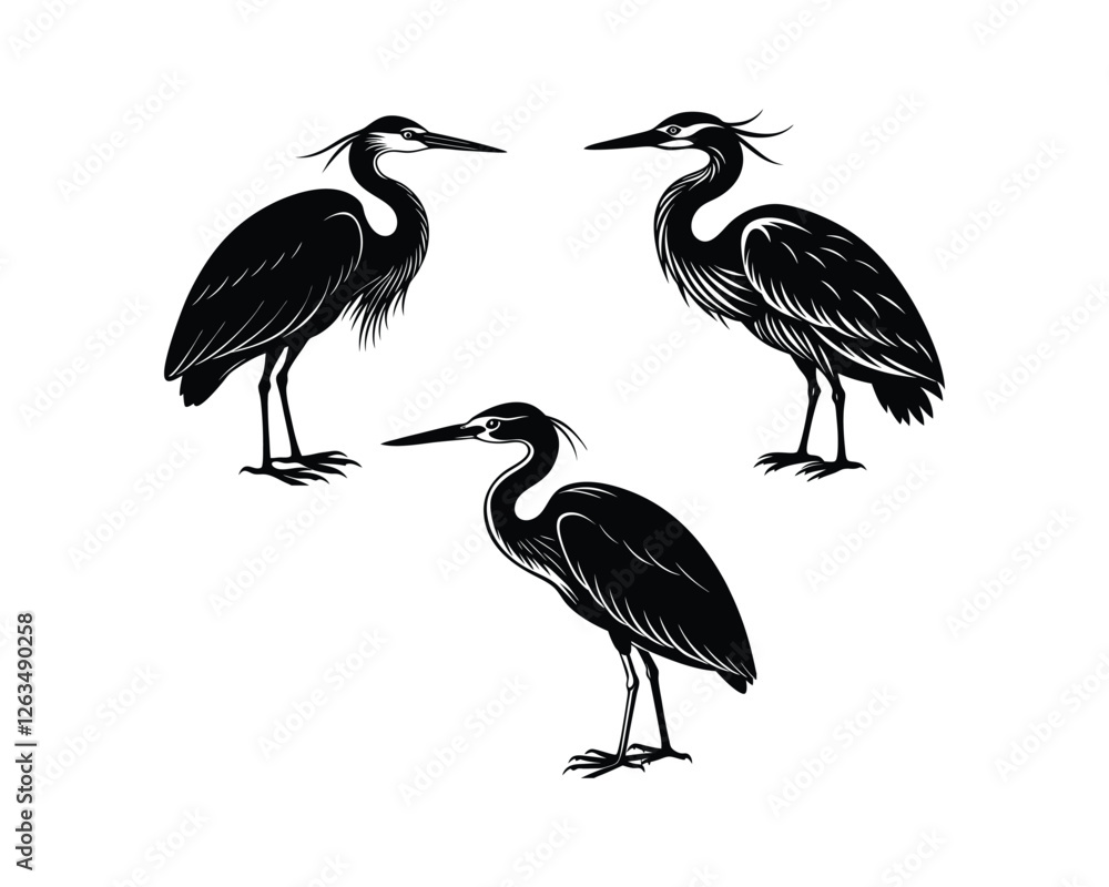 Obraz premium heron bundle set on a white background