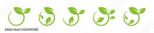 Green plants. Green leaves. Green leaf icons. Leaves illustration. Green leafs collection. Leaves of trees and plants. Branch with leaves.