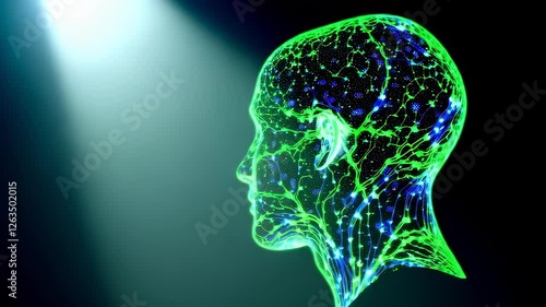 Digital Brain Visualization