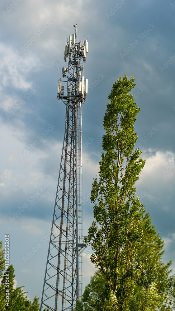 kto tu jest wyższy gsm czy drzewo kto tu jest wyższy gsm czy drzewo