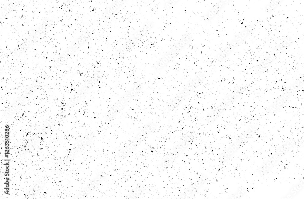 Obraz premium Striking Contrasts with Fine Details: Black and White in Their Dance