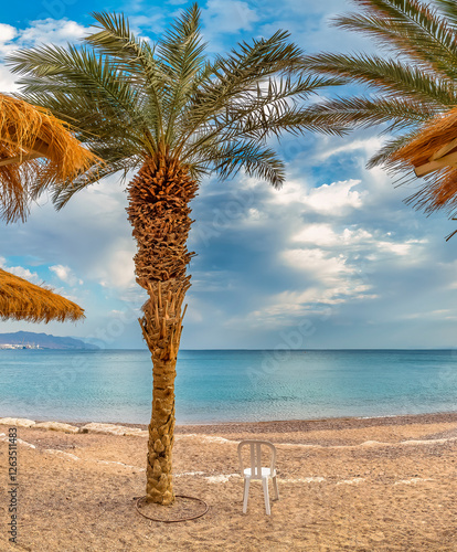 Palm tree, sunshades and resting chair on sandy beach of the Red Sea
