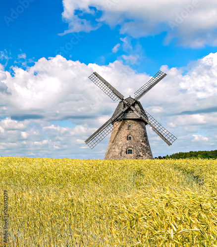 Rural landscape with old windmill and field with ripening wheat or cereals