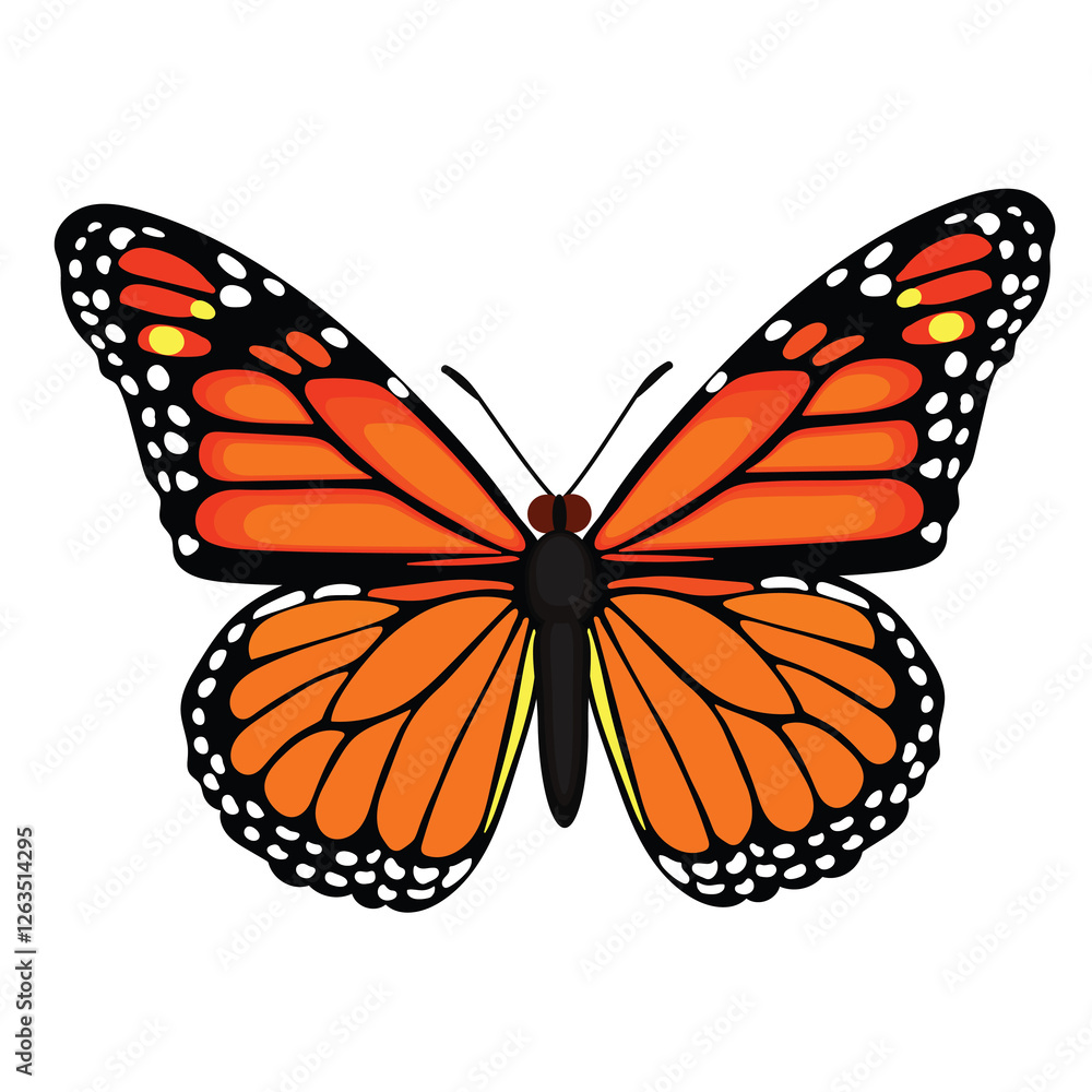Fototapeta premium Orange color butterfly vector illustration