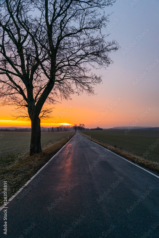 Fototapeta premium leere Landstraße im Sonnenaufgang