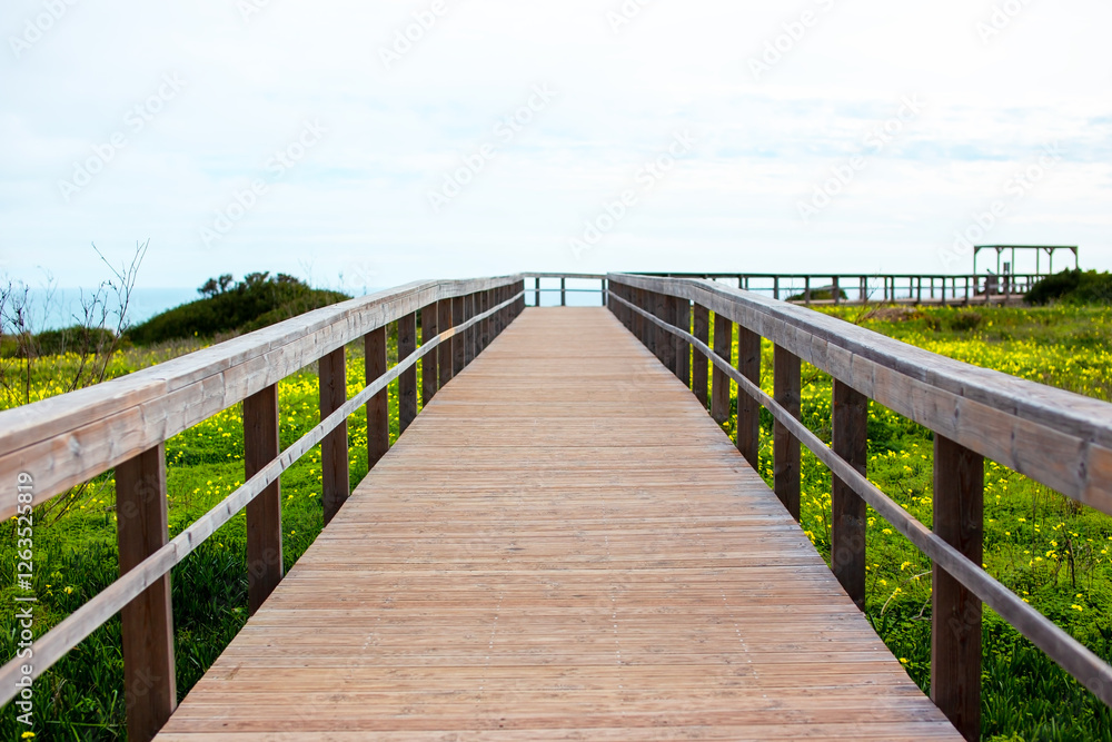 Wooden walkway leading to the beach with yellow flowers and blue sky Wooden walkway leading to the beach with yellow flowers and blue sky
