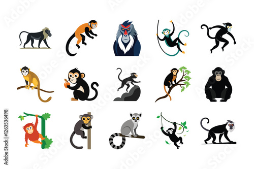 bandle primates animal vector, monkey and ape illustration