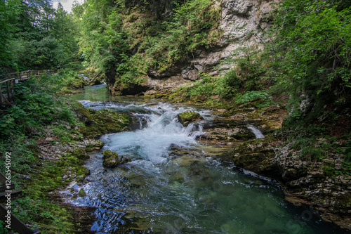 Obraz na płótnie Vintgar gorge amazing cayon with river, rocks and nature, wooden foodpaths leads through wild natural reserve w salonie